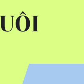 bugofish banner